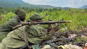 Les États-Unis Condamnent les Mouvements Rebelles de l'Alliance du Fleuve Congo